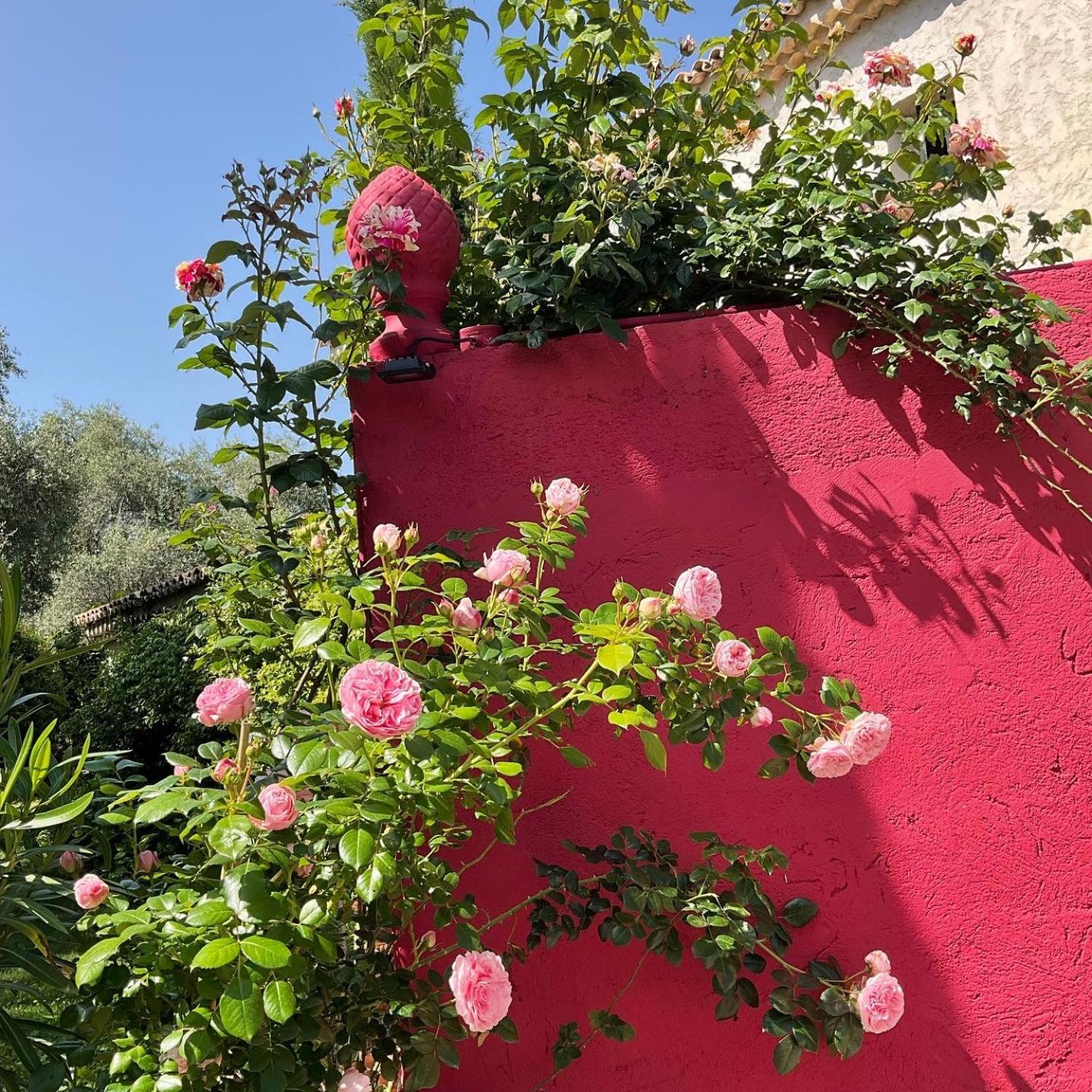 Hotel Mas De Provence En Riviera La Roquette-sur-Var Exteriér fotografie