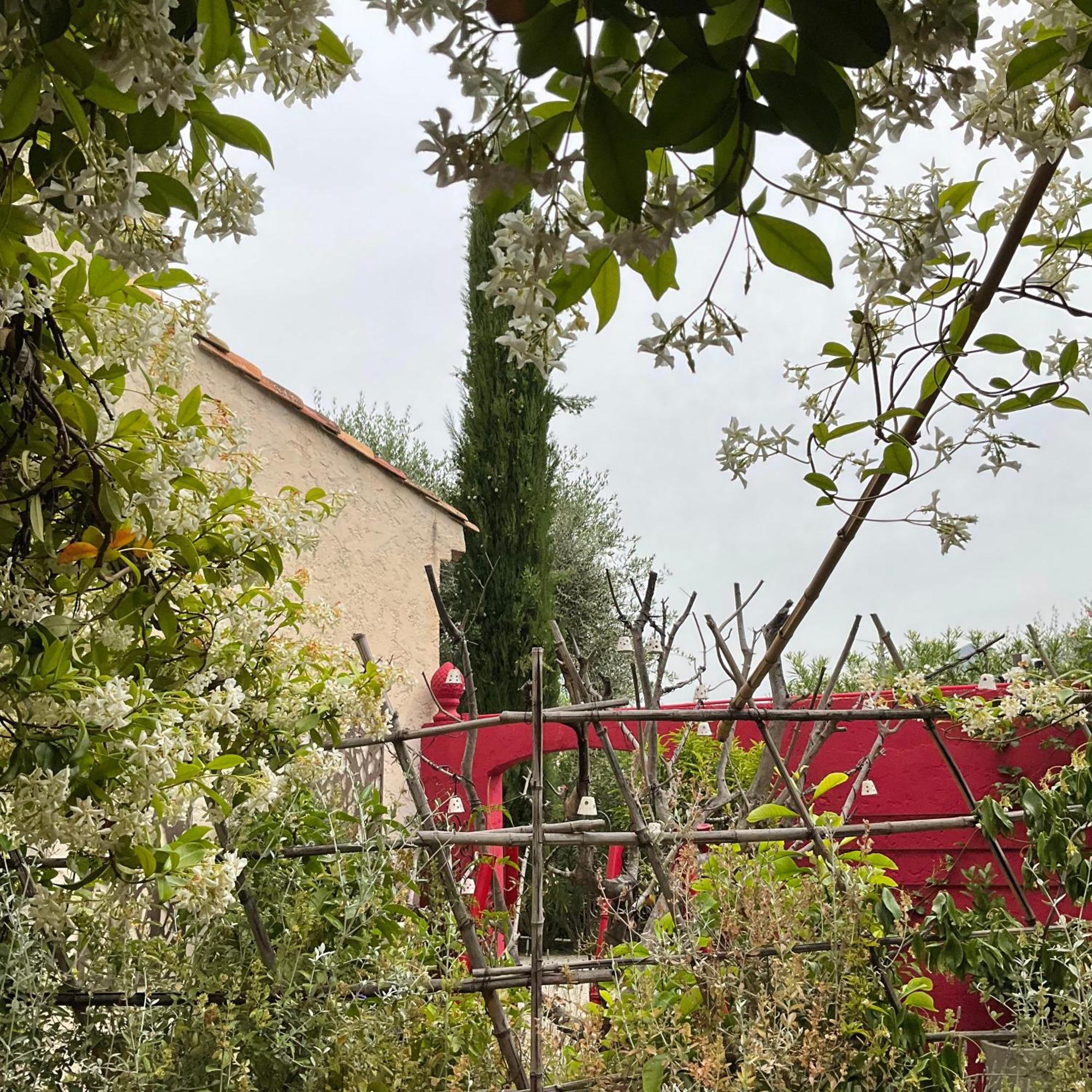 Hotel Mas De Provence En Riviera La Roquette-sur-Var Exteriér fotografie